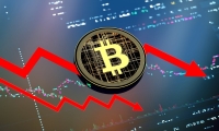 上周重庆猪肉价格小幅上涨 后期或止涨回跌